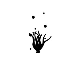 silhouette of seaweed  underwater sea plants  sea algae