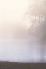 Fototapeta premium foggy lake with trees in the mist.