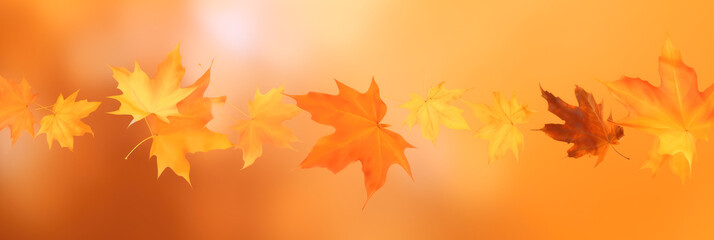 Beautiful maple leaves on blurred background. Generative AI.	

