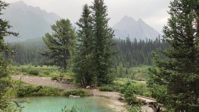  Ink Pots, Banff Alberta. Rain-kissed landscapes come alive in a dance of colors. Verdant meadows and crystal-clear pools blend seamlessly under a soft drizzle, in a masterpiece of tranquility.