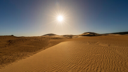 Scenic view of Alexandria Dunes, Eastern Cape, South Africa