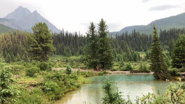 Ink Pots, Banff Alberta. Rain-kissed landscapes come alive in a dance of colors. Verdant meadows and crystal-clear pools blend seamlessly under a soft drizzle, in a masterpiece of tranquility.