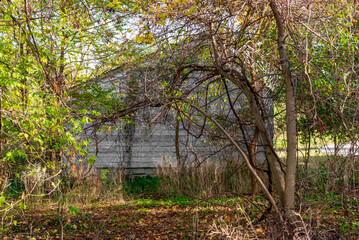 An Abandoned Shed Along The Local Trail