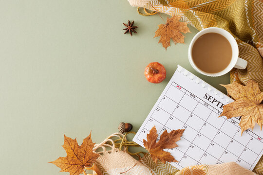 Find comfort and coziness at home this september. Top view shot of calendar, warm plaid, coffee mug, pumpkin, acorns, anise, autumn leaves on pastel olive background with empty space for promo or text