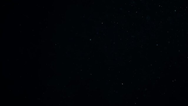 Natural Organic Dust Particles Floating On Black Background. Dynamic Dust Particles Randomly Float In Space With Fast And Slow Motion. Shimmering Glittering White Particles With Bokeh In The Air.	
