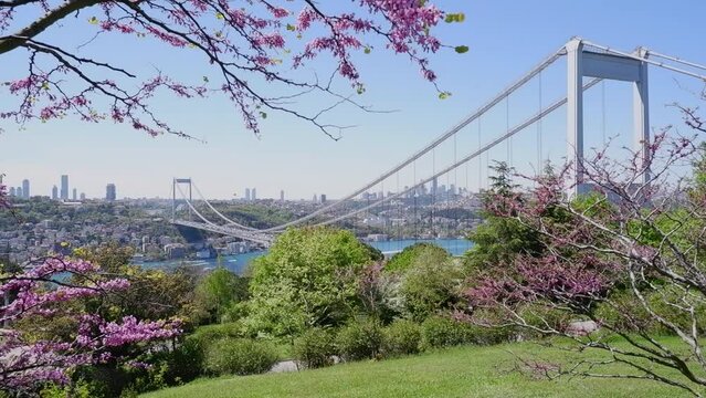  The Turkish flag is waving in the wind in a park overlooking the bridge over the Bosphorus and beautifully blooming sakura. Travel Istanbul background photo