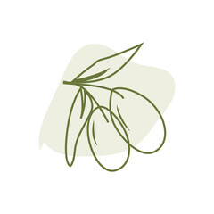 Olive Logo Design, Olive Oil Tree Vector, Simple Illustration Template