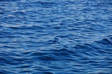 Pale blue color of wavy sea surface during windy day