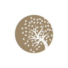 Tree Logo Design, Playground Vector, Education Tree Icon