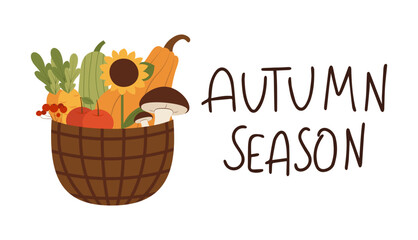 Harvest season with handwritten text. Basket with autumn farm vegetables. Vector illustration in flat style
