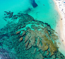 coral reef in the sea