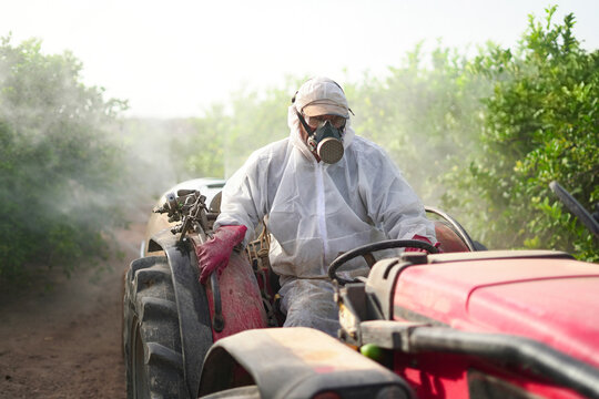 Anonymous farmer spraying pesticide on lemon trees while riding tractor