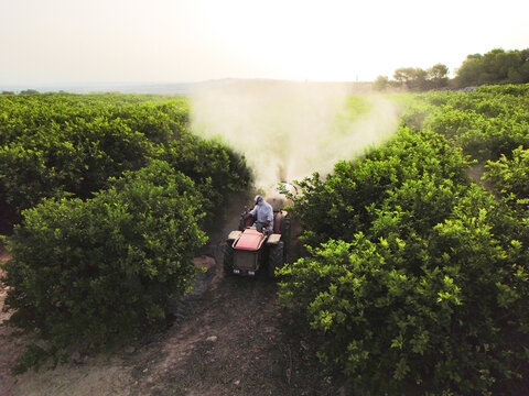 Anonymous farmer driving tractor spraying pesticide on lemon trees