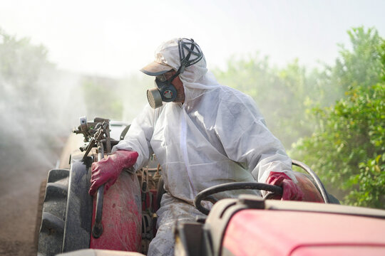 Anonymous farmer spraying pesticide on lemon trees while riding tractor