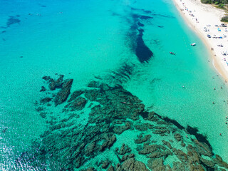 coral reef in the sea