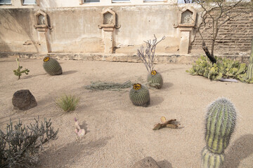 Courtyard with cactus © Martina