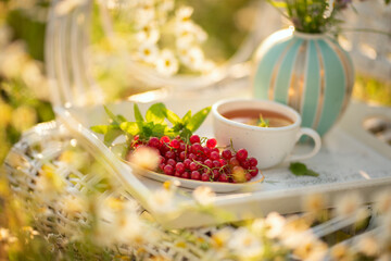 red berries of red currant and raspberry and a cup of tea on a wicker white chair among a field with daisies . Summer mood. The concept of summer outdoor recreation, relaxation 