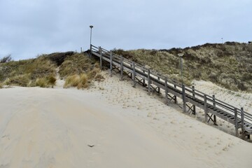 sand dunes and a wooden ladder going down to the beach