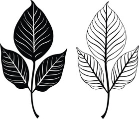 Alder Leaves Logo Monochrome Design Style
