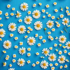 flat lay spring and summer chamomile flowers on blue background. generative AI