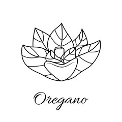 oregano on a white background in hand drawn style. Vector stock illustration. isolated. Plant. Spices.