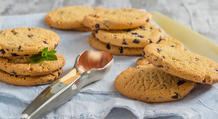 Delicious vanilla filled chocolate chip cookies on a well lit tray