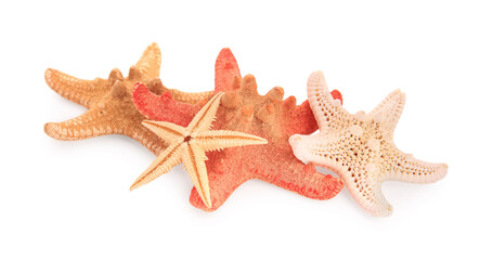 Many beautiful sea stars (starfishes) isolated on white