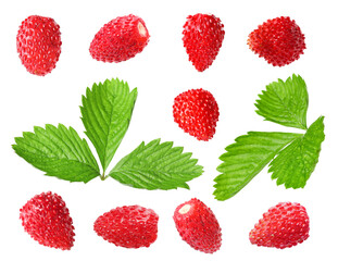 Set with sweet ripe wild strawberries and green leaves isolated on white