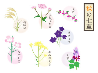 秋の七草の植物のイラストと文字入り