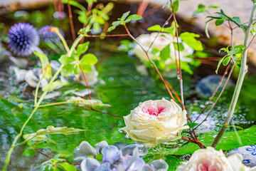 Fototapete bei efototapeten.de bestellen   