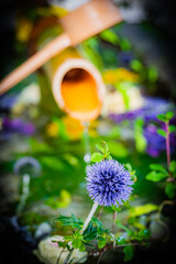 Fototapete bei efototapeten.de bestellen   