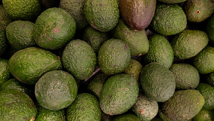 Fresh green avocados filling the frame, organic food or produce background.