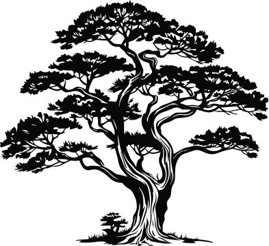 Cedar Tree Logo Monochrome Design Style