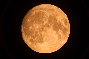 Fototapeta premium Luna