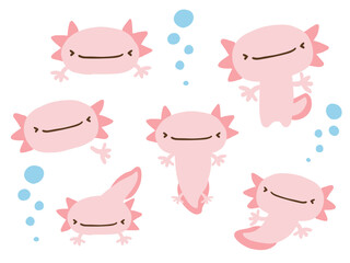 かわいいウーパールーパーとあぶくのセット／手描きイラスト素材