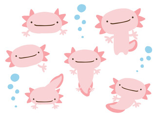 かわいいウーパールーパーとあぶくのセット／手描きイラスト素材