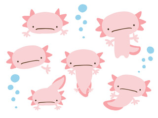 かわいいウーパールーパーとあぶくのセット／手描きイラスト素材