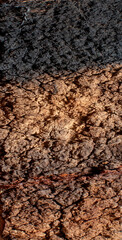 Texturas de tierra 