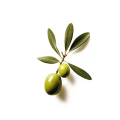 Fotobehang Green olive branch on a white background © NesliHunFoto