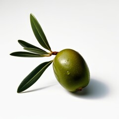 A Green Olive with its Leaves