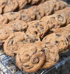 Double Chocolate Chip Cookies