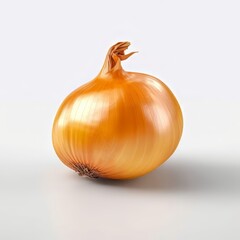 A single Onion on a White Background