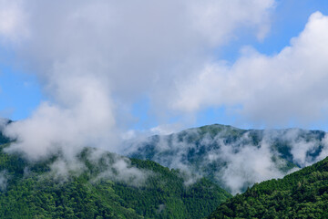 雨上がりの山岳風景