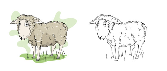Sheep farm animal cartoon illustration