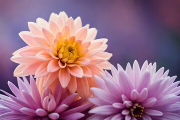 pink chrysanthemum flower generated by AI tool