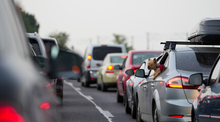 congestion on the Soarelui highway in the Cernavoda area. photo during the day.