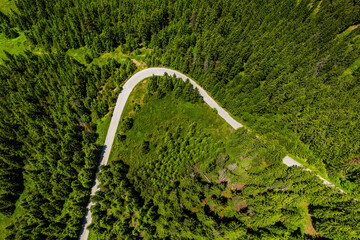 Beautiful natural green forest field with view from air, aerial photo