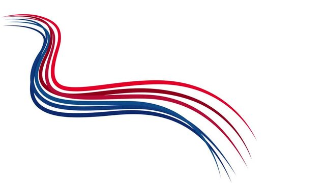 Ribbon line animation with copy space text area great for South Korea liberation day. Celebrate South Korea Liberation Day on 15th August