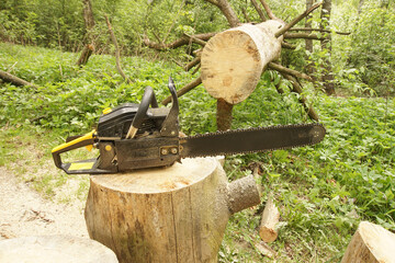 Chainsaw on a stump against the background of a log.   Log sawn with a chainsaw. The result of the chainsaw.