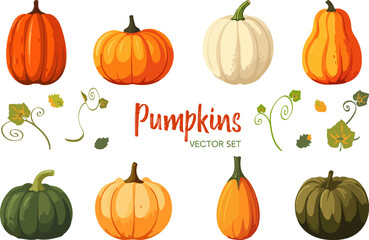 Vector set of various colorful pumpkins cartoon style isolated on white background